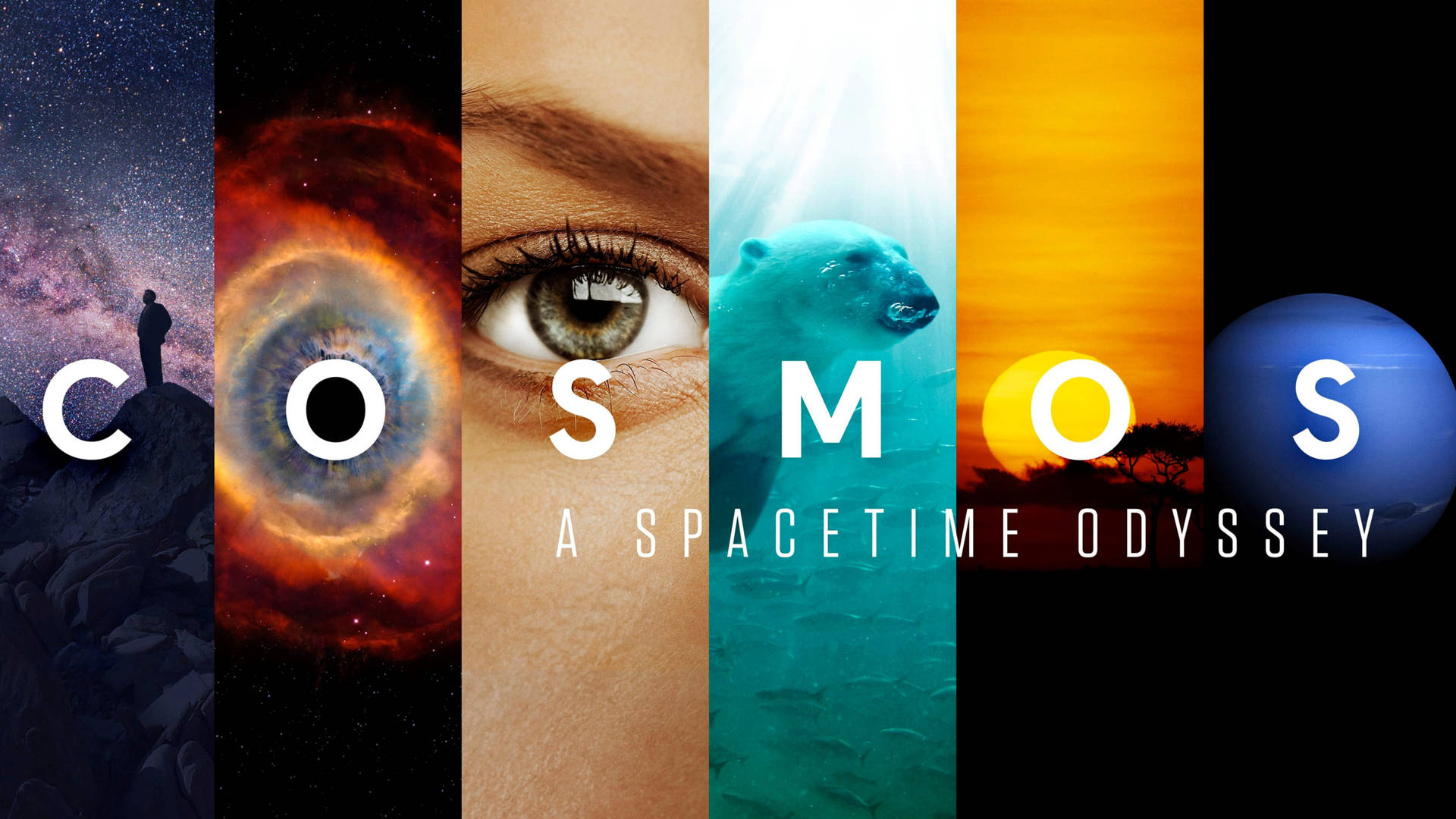 Cosmos A Spacetime Odyssey Wallpaper