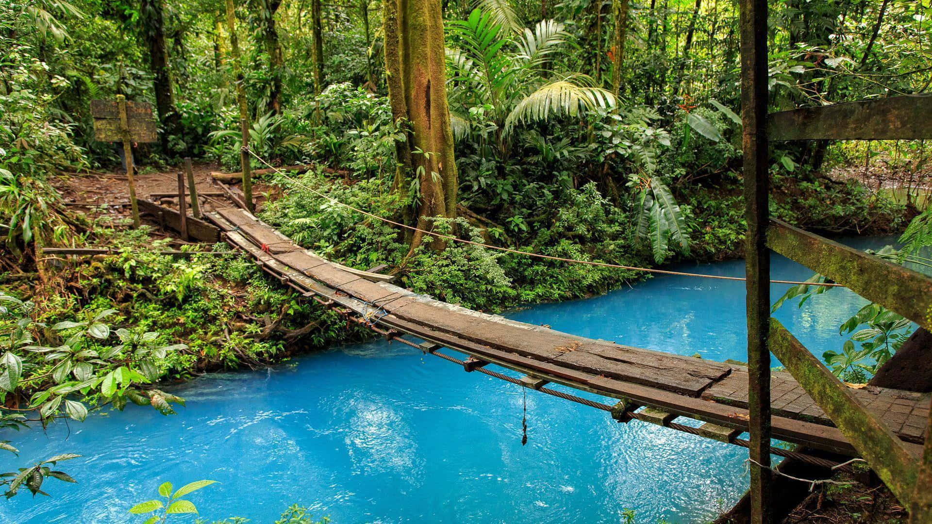 Discover the Beauty of Costa Rica