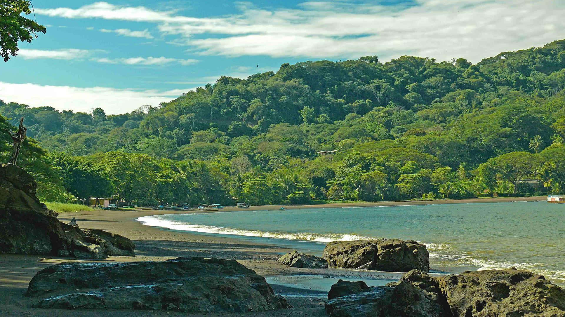 Dschungelpfadin Costa Rica