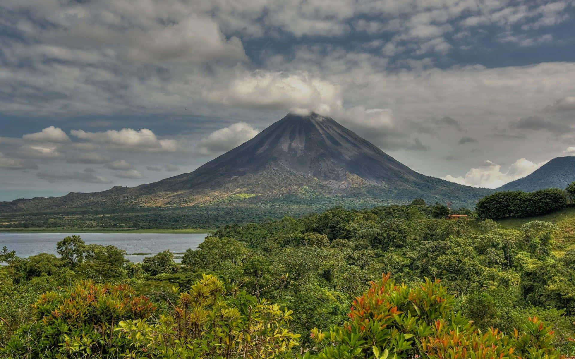 Costa Rica's Wildlife-Laden Paradise