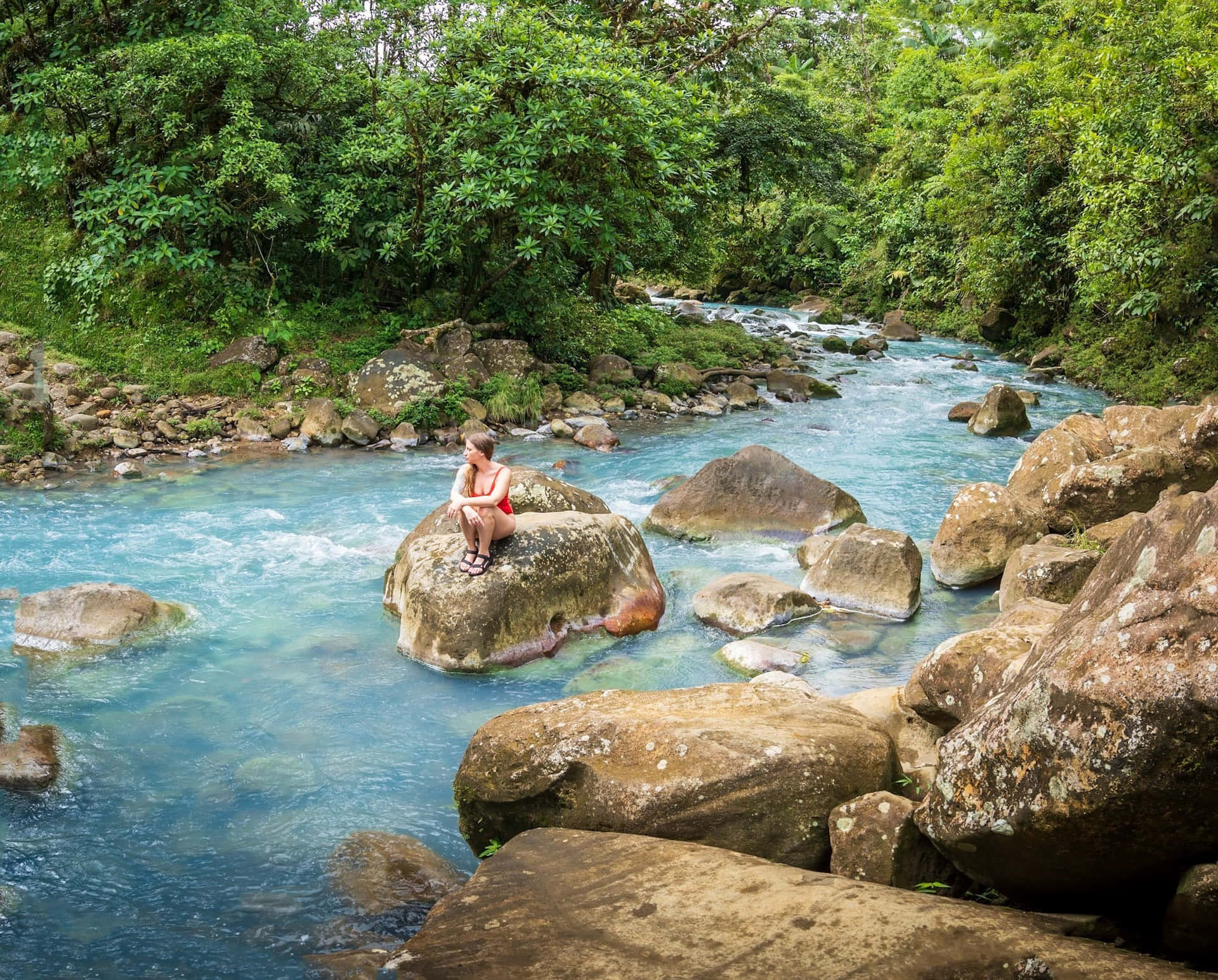 Umaexuberante Floresta Tropical Na Costa Rica Oferecendo Experiências Ao Ar Livre De Tirar O Fôlego.