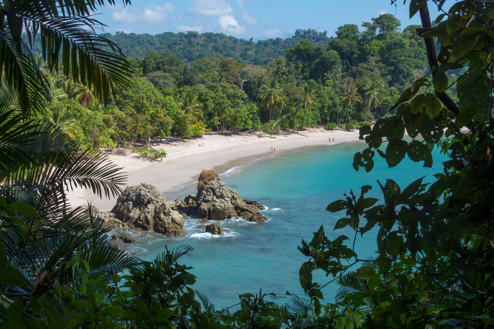"Experience the beauty of the rainforest in Costa Rica"