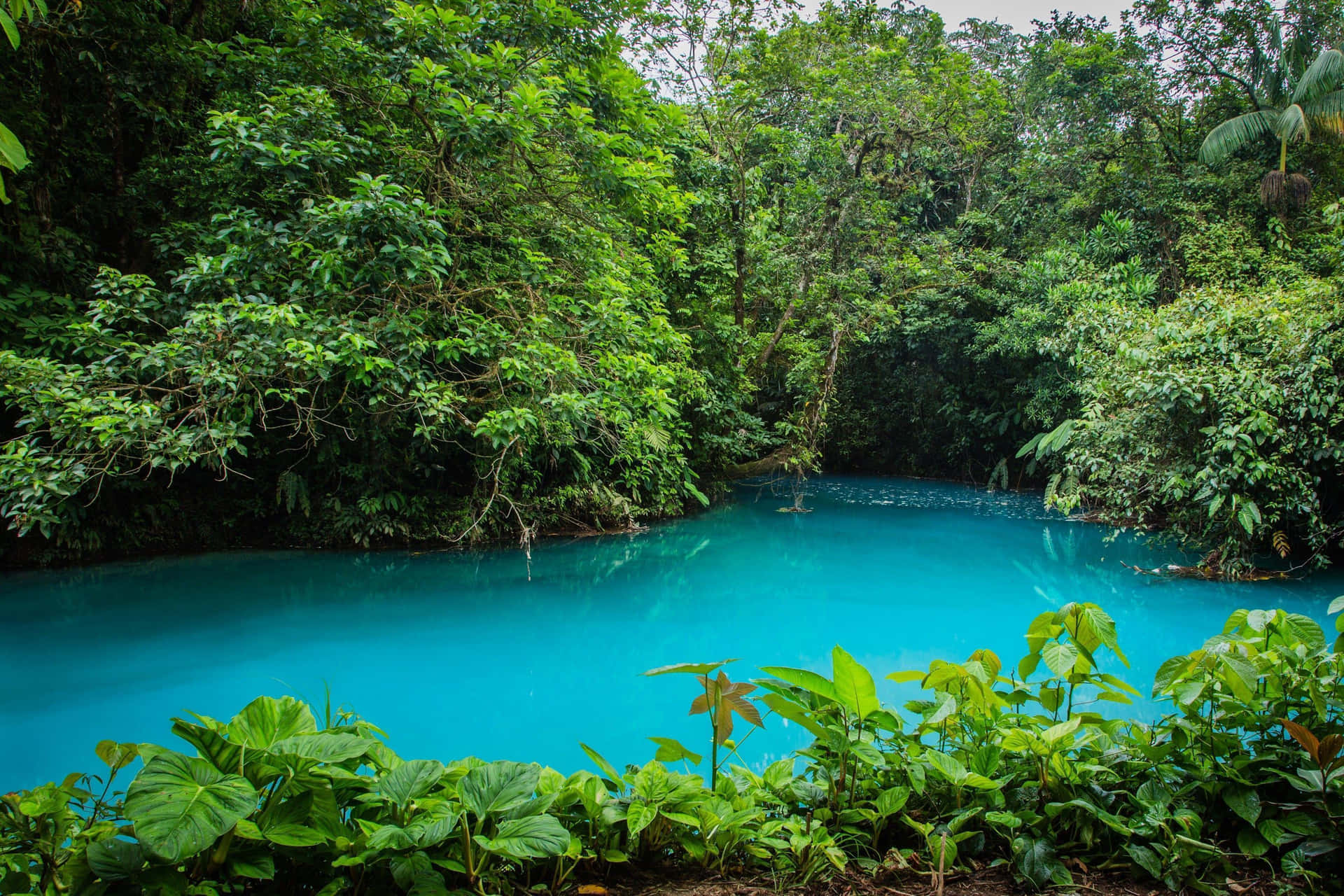 Einluftbild Von Der Atemberaubenden Landschaft Costa Ricas.