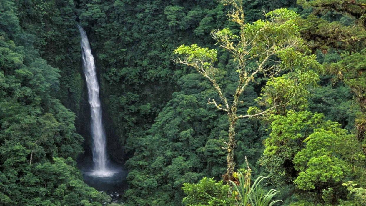 Costa Rica La Fortuna Waterfall