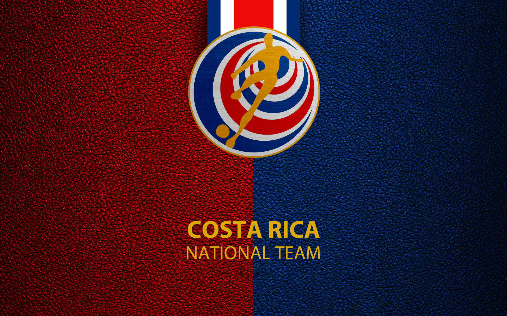Costa Rica National Football Poster
