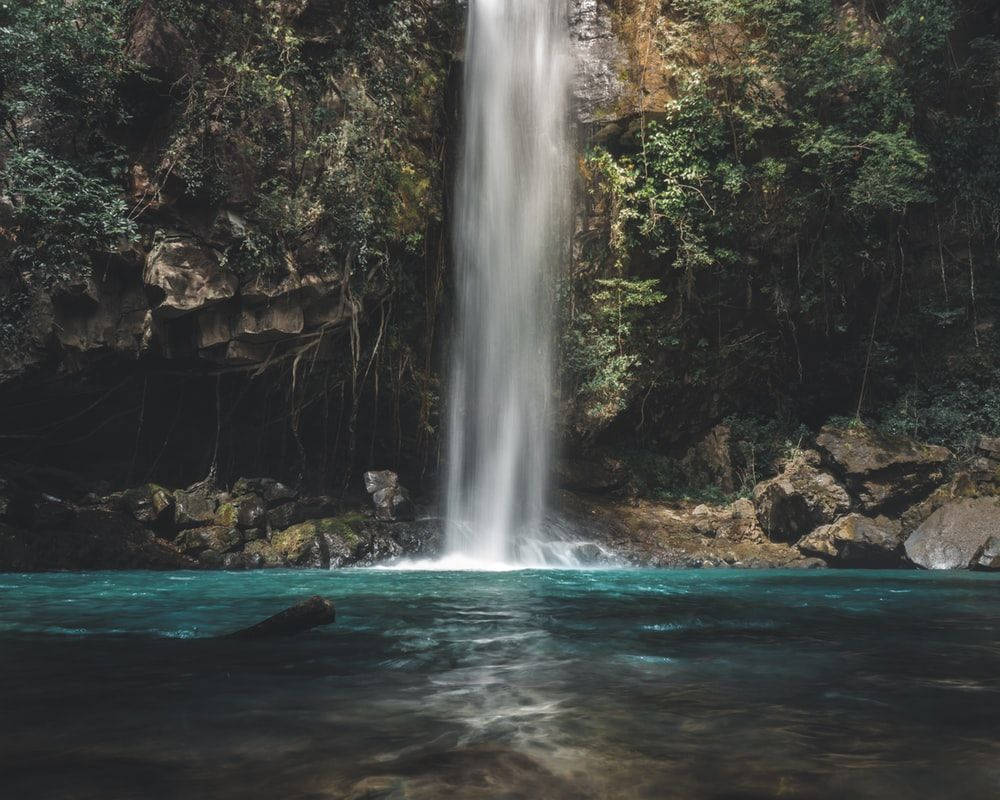 Costa Rica Oropendola Waterfall
