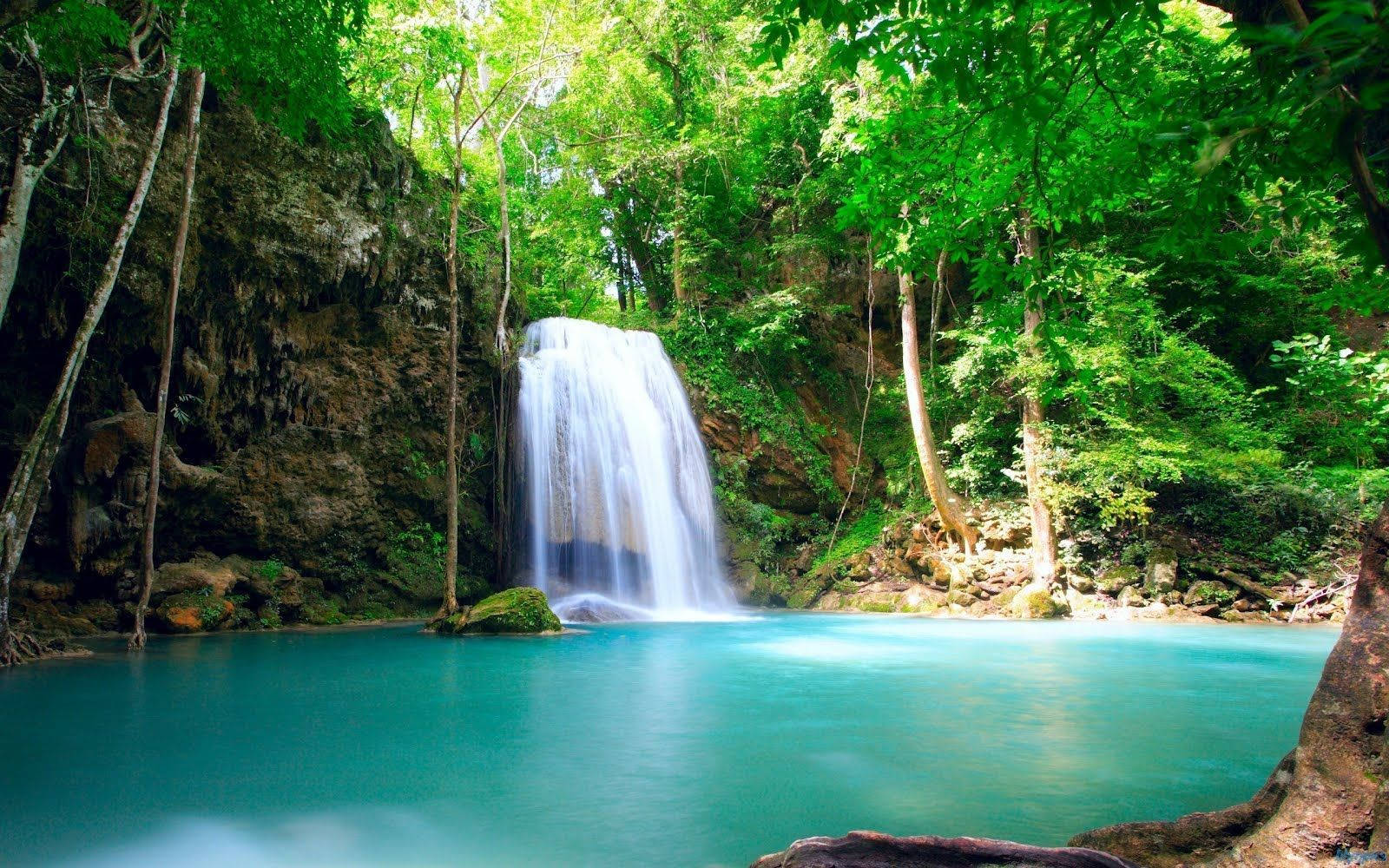 Costa Rica Tropical Waterfall