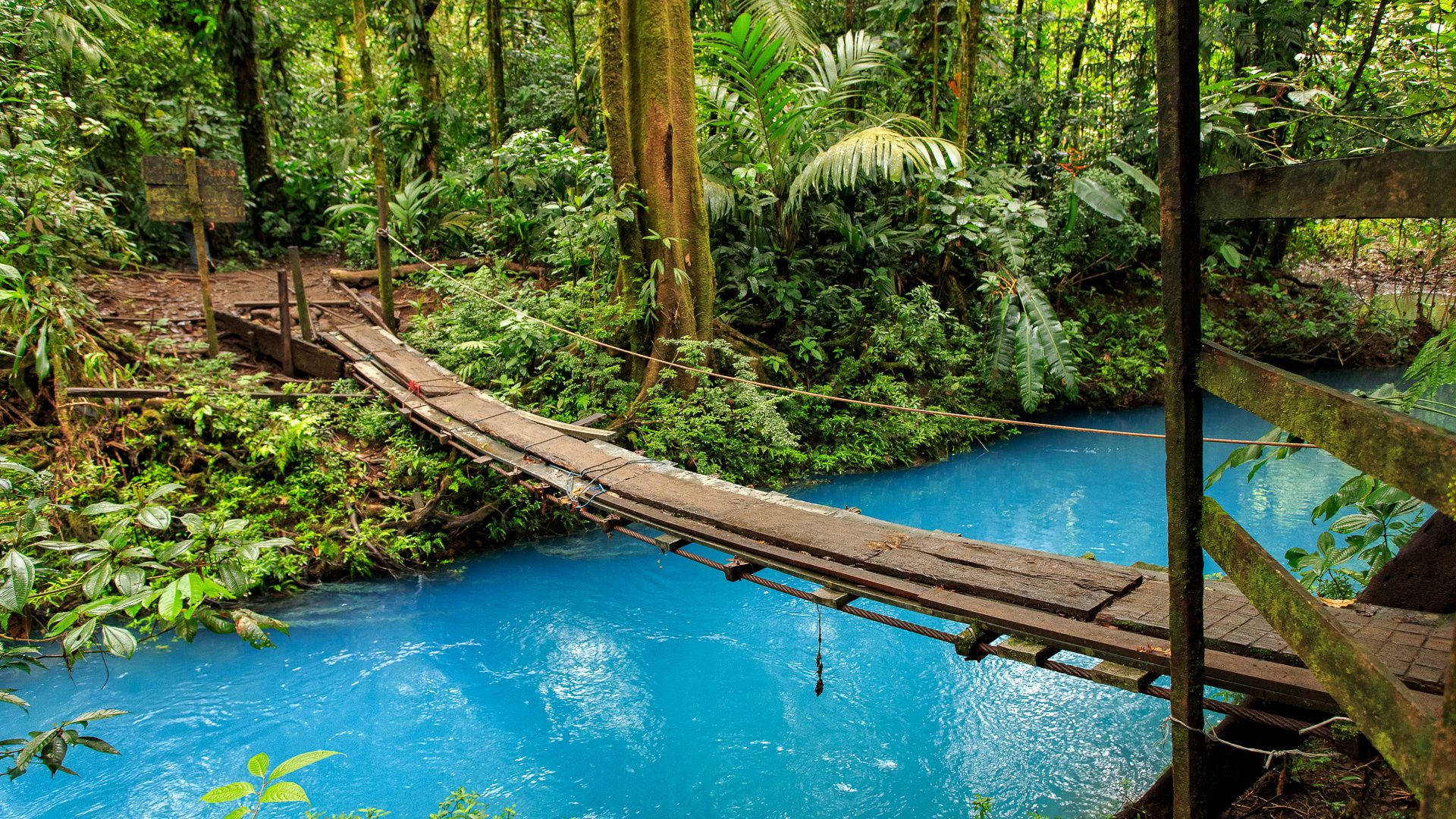 Costa Rica Wooden Footbridge