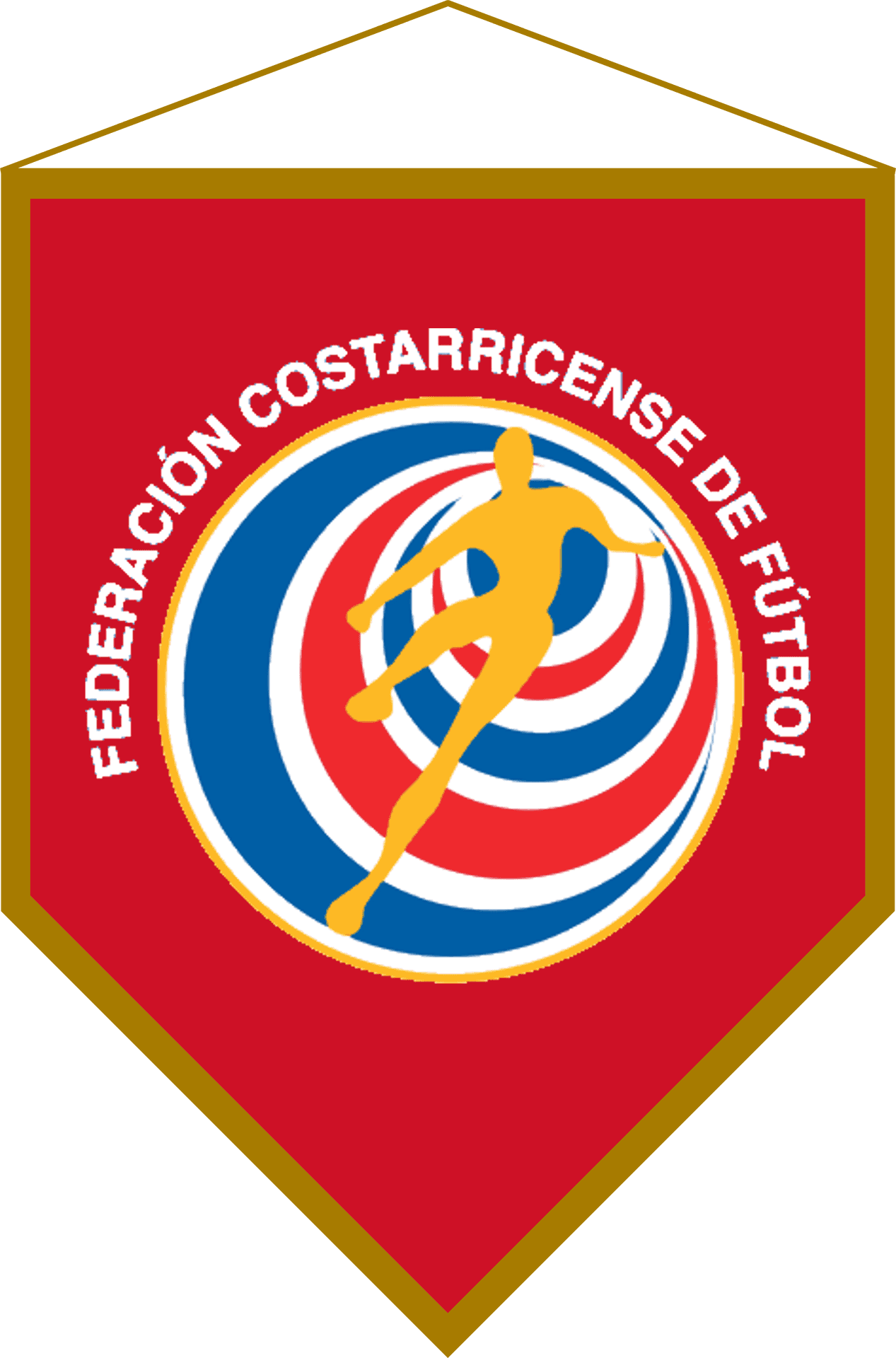 Costa Rican Football Federation Pennant PNG
