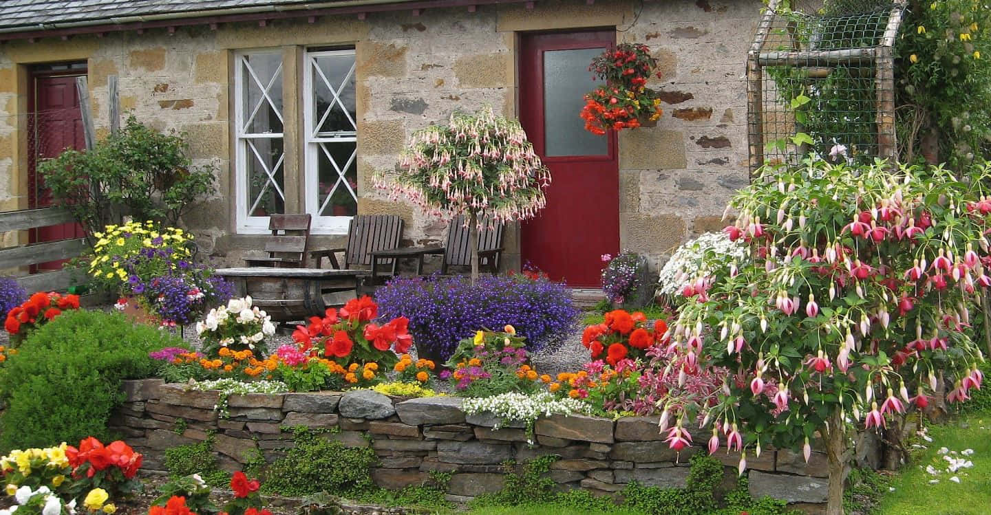 Betoverende Cottage Tuin In Volle Bloei Achtergrond