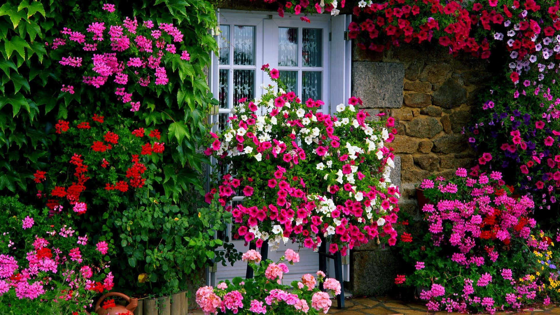 Enchanting Cottage Garden in Full Bloom Wallpaper