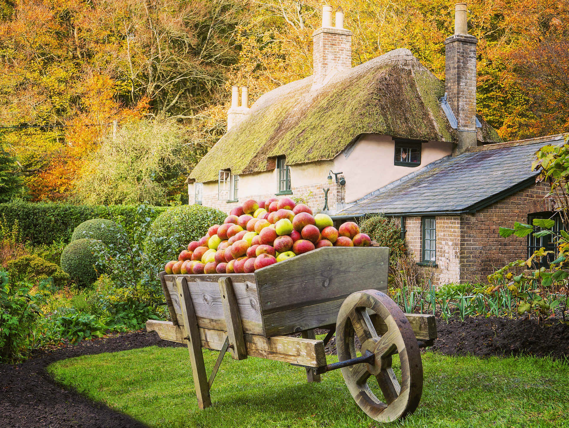 Dreamy Cottage Garden Wallpaper