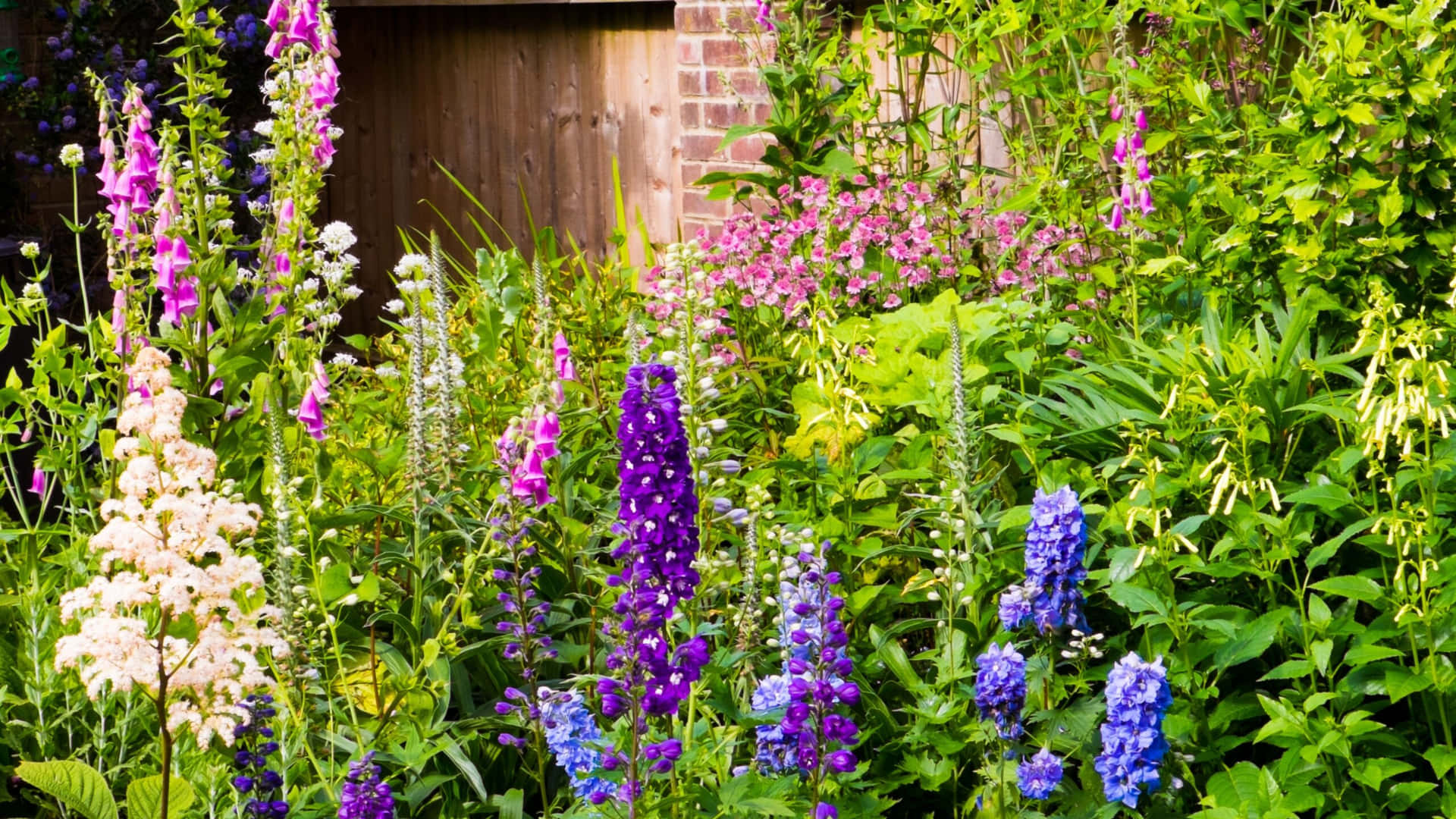 Enchanting Cottage Garden in Full Bloom Wallpaper