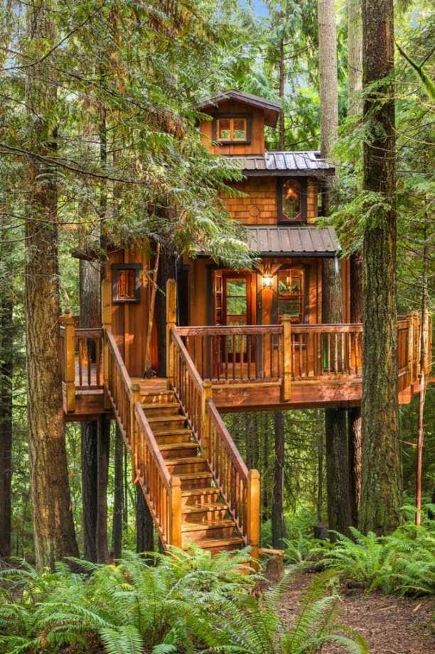 Forest Cottage Treehouse Cabin Photography Picture