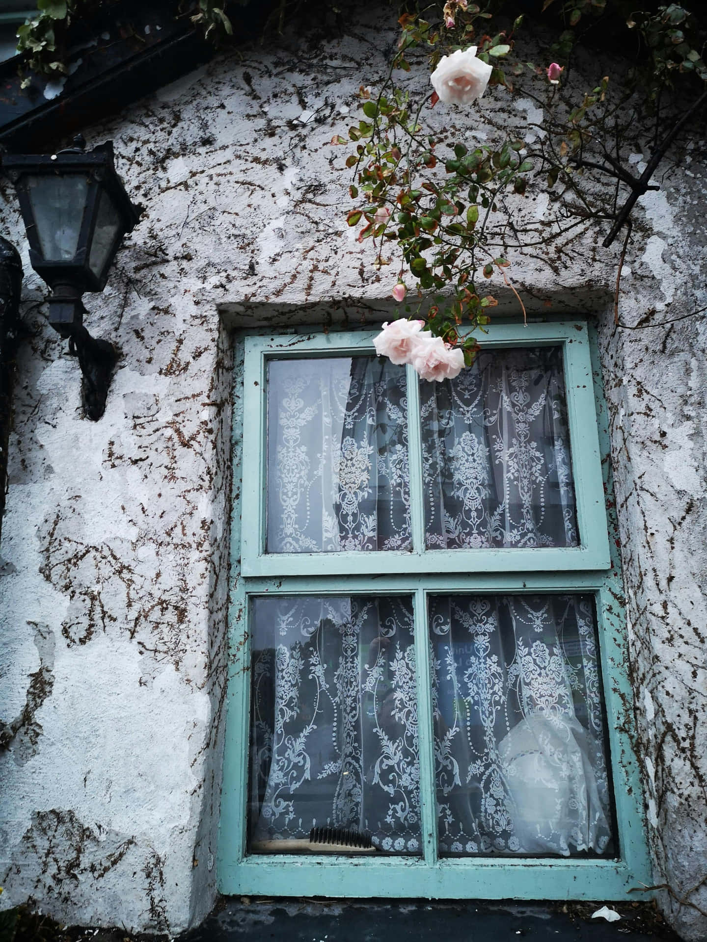 Cottage Windowwith Climbing Roses Wallpaper