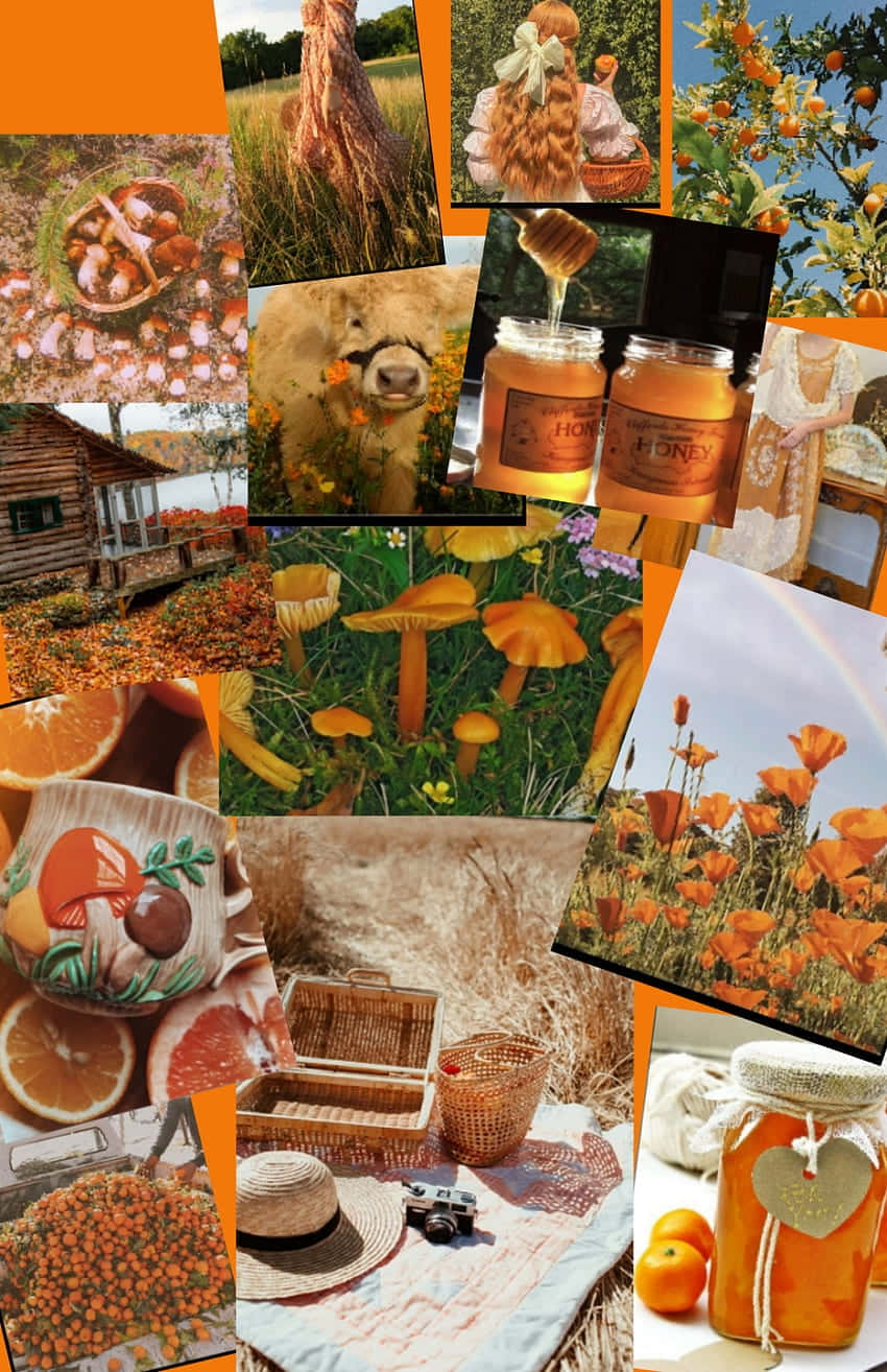 Cottagecore Aesthetic Collage Wallpaper