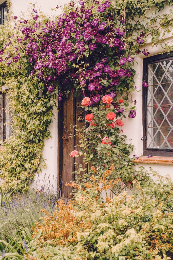 Cottagecore Flowers In The Door Background