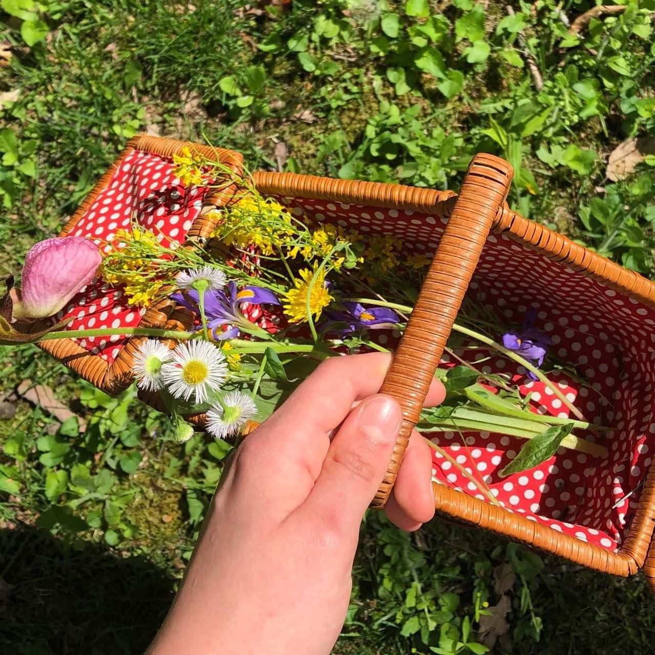 A Person Holding A Basket Full Of Flowers