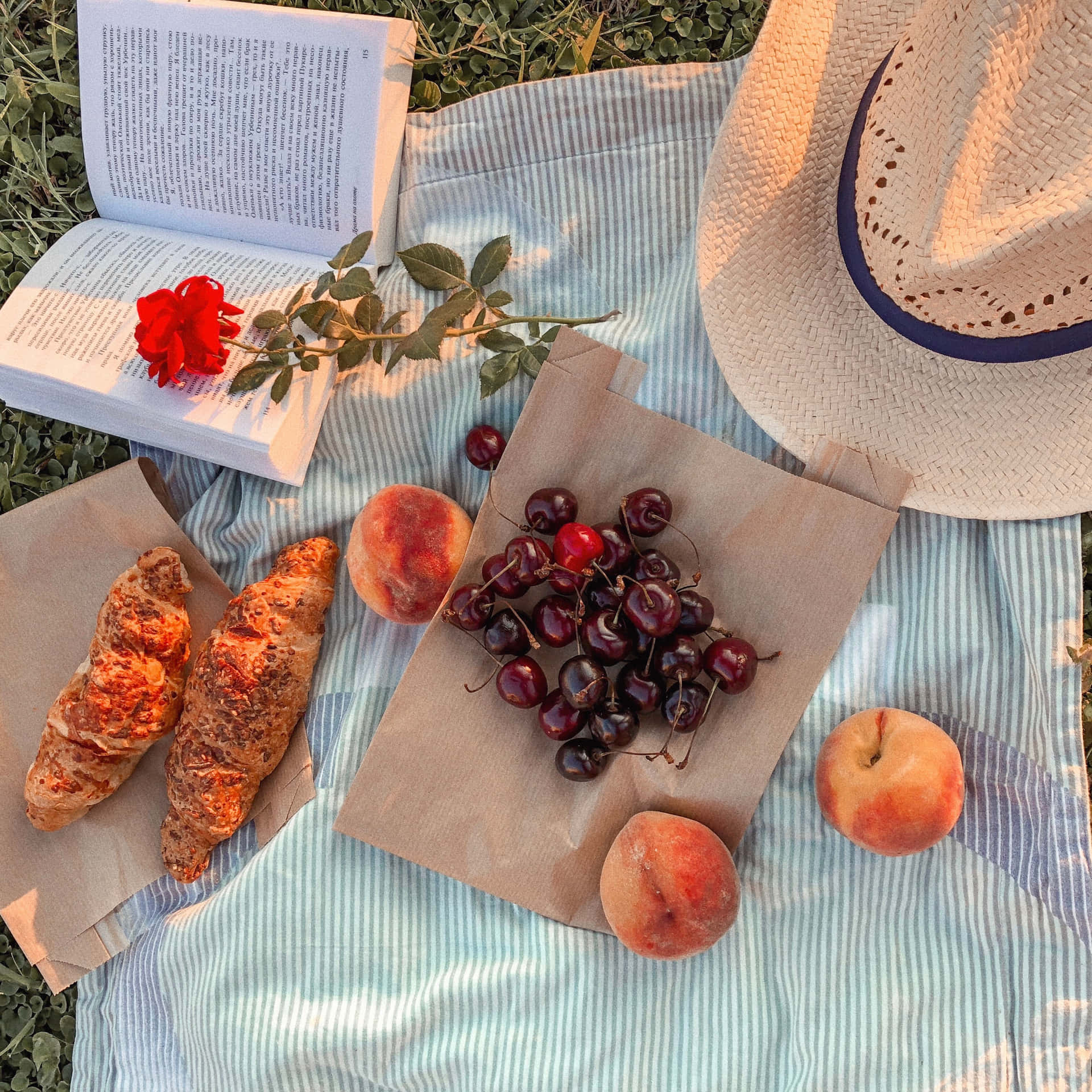 A Picnic Blanket With A Book, Croissants, And Fruit