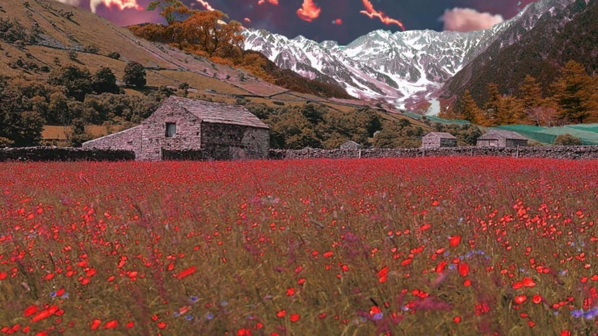 Cottagein Poppy Field Mountain Backdrop Wallpaper