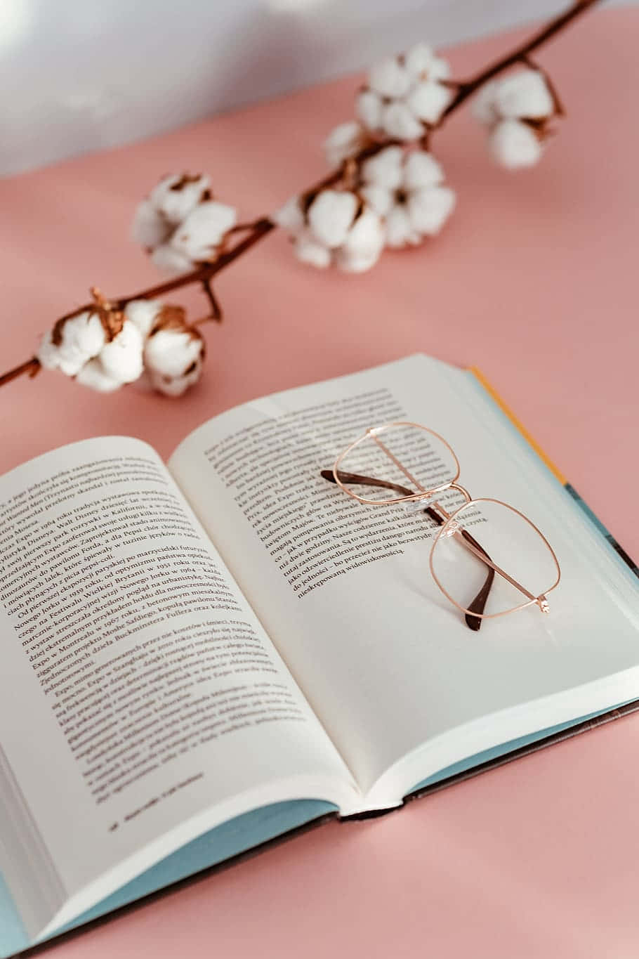 Cotton Branches And Glasses On Book.jpg Wallpaper