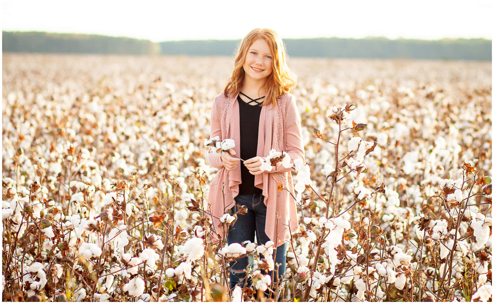 "A sea of tranquility in the plush cotton fields of North Carolina"
