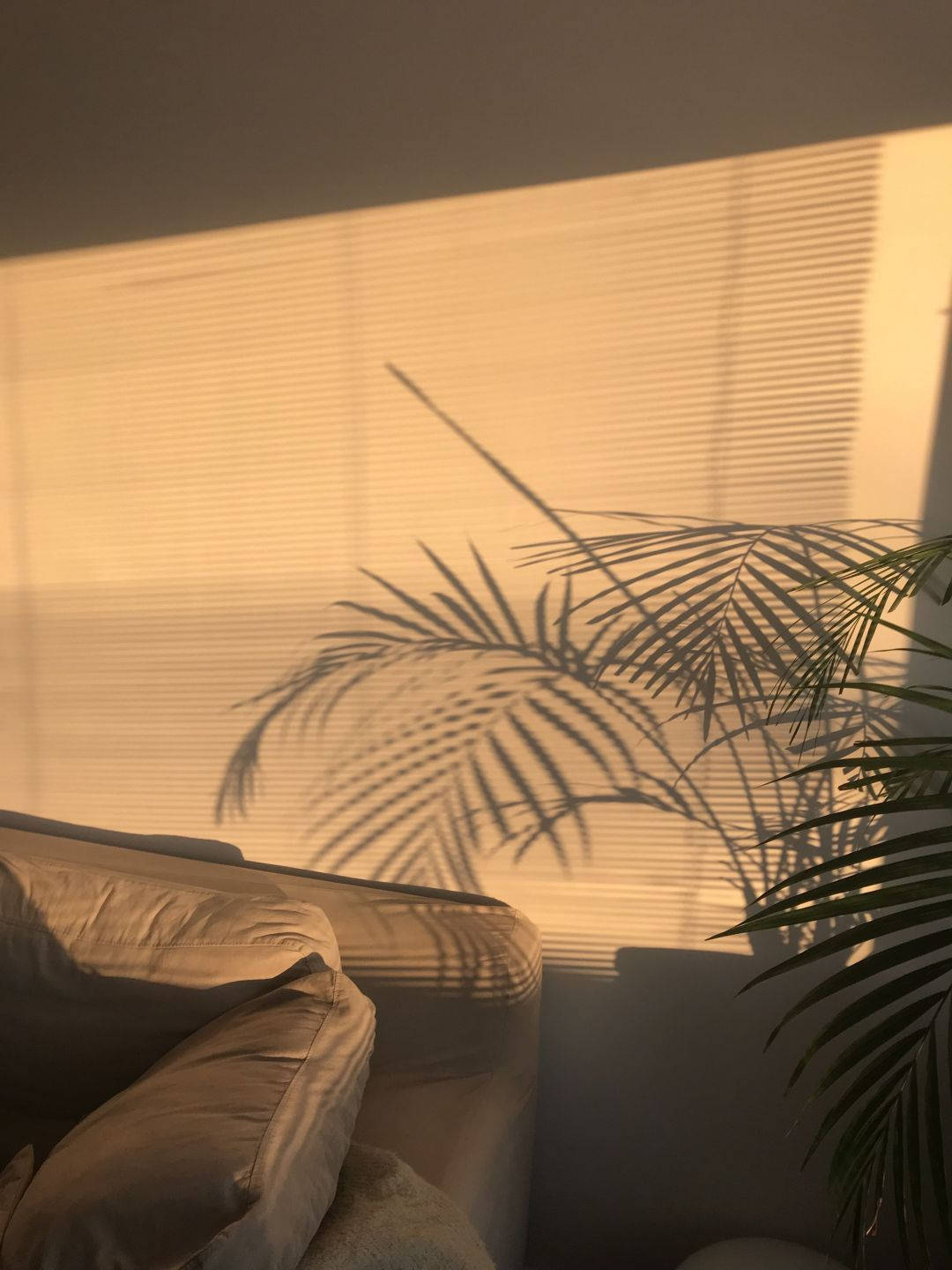 Couch And Plants In A Room Wallpaper
