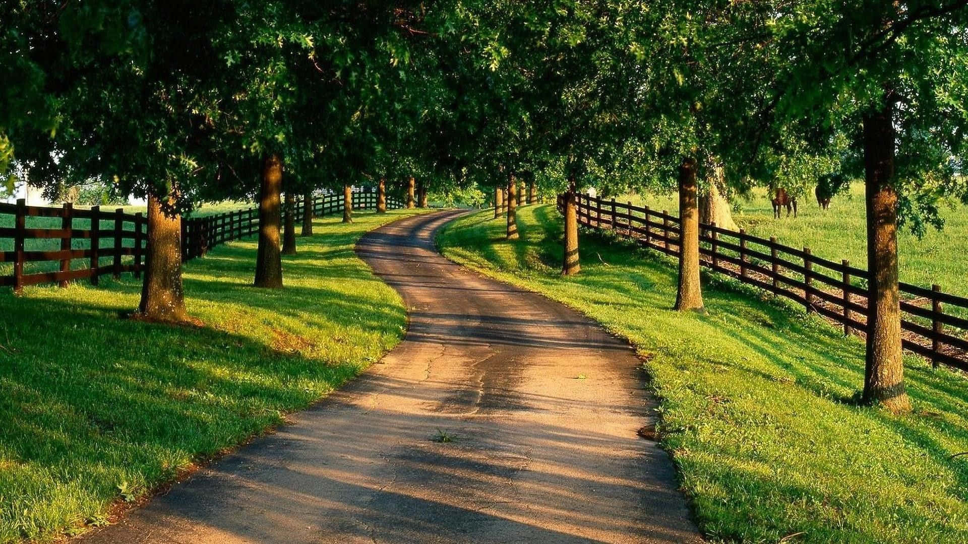 Take a stroll through the rolling hills of Country