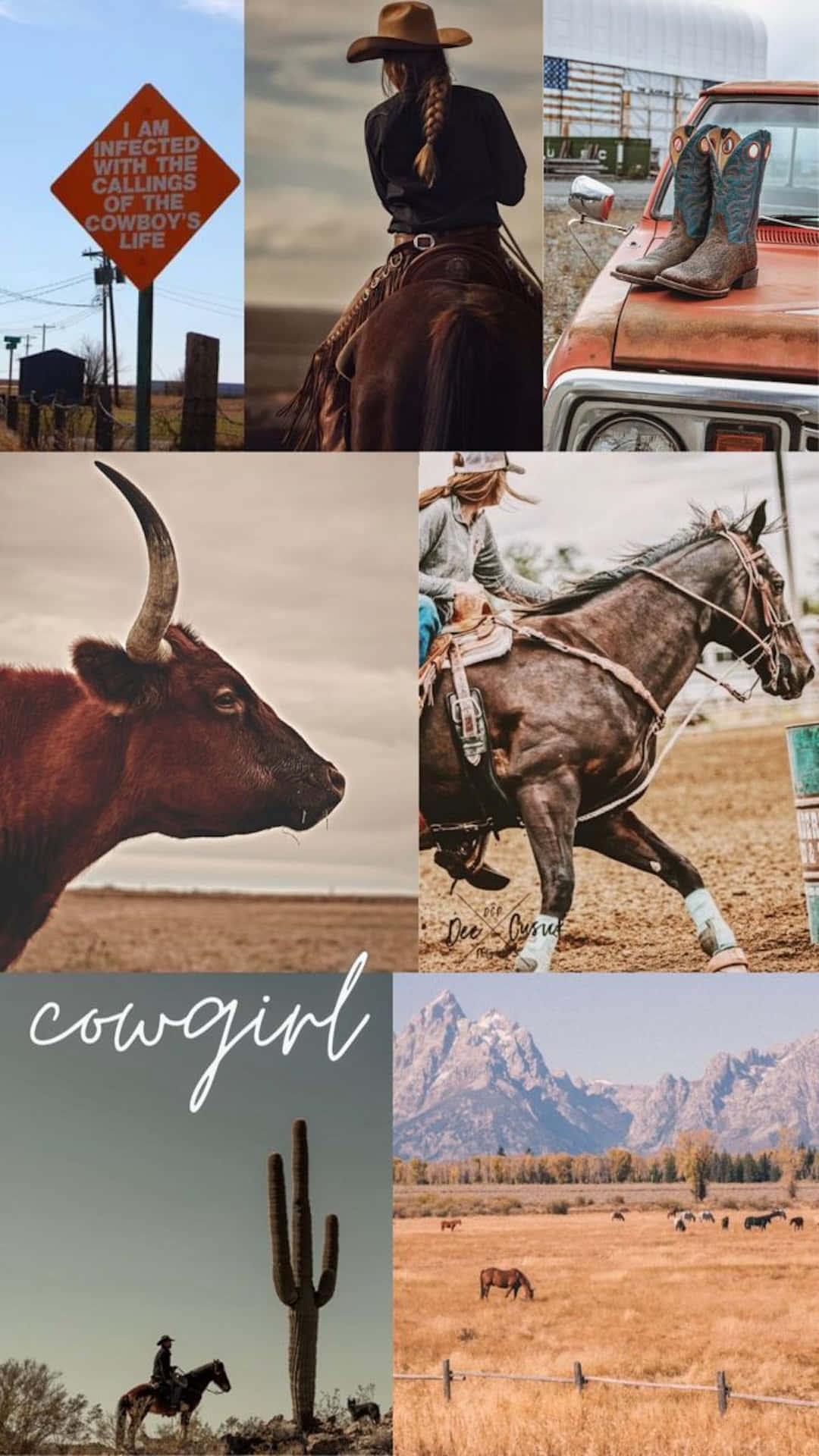 Country Cowgirl Collage Aesthetic Wallpaper