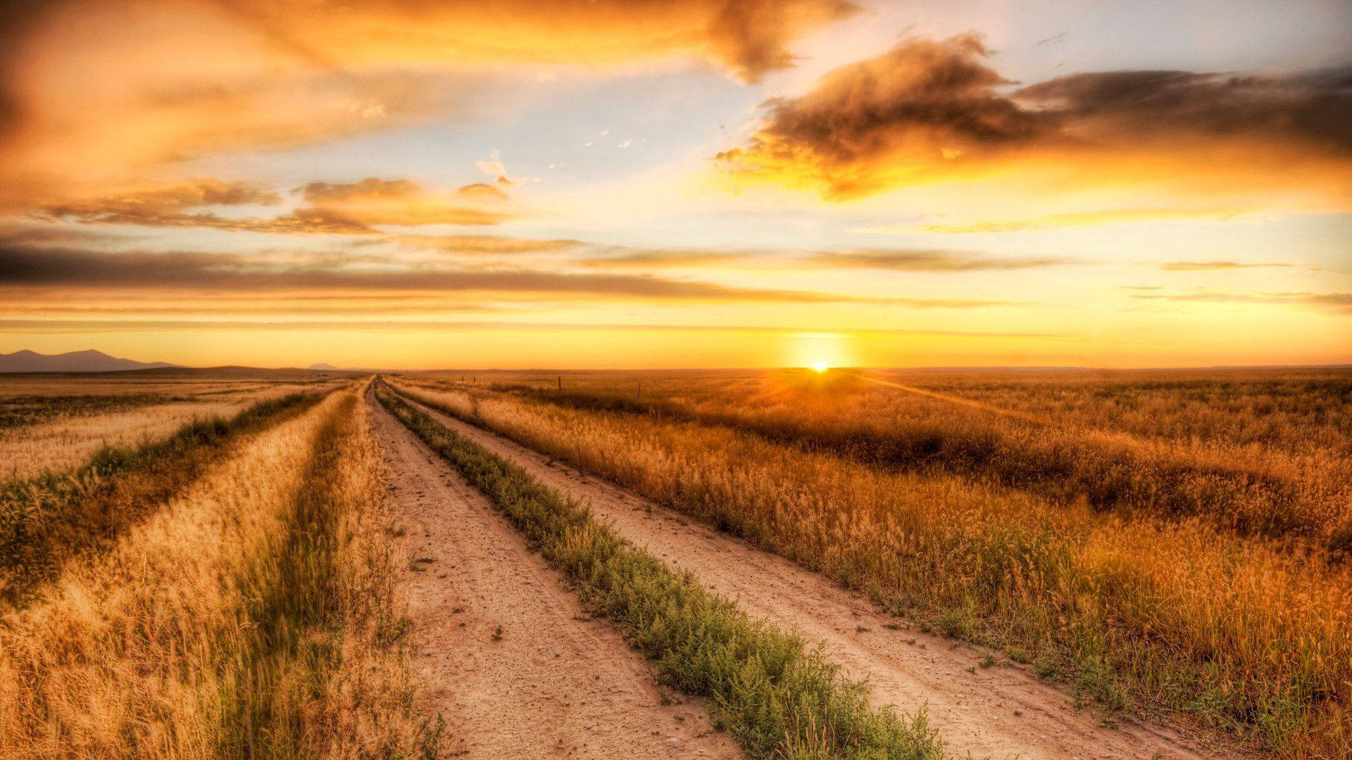 A sunset view of a dirt road in the countryside. Wallpaper
