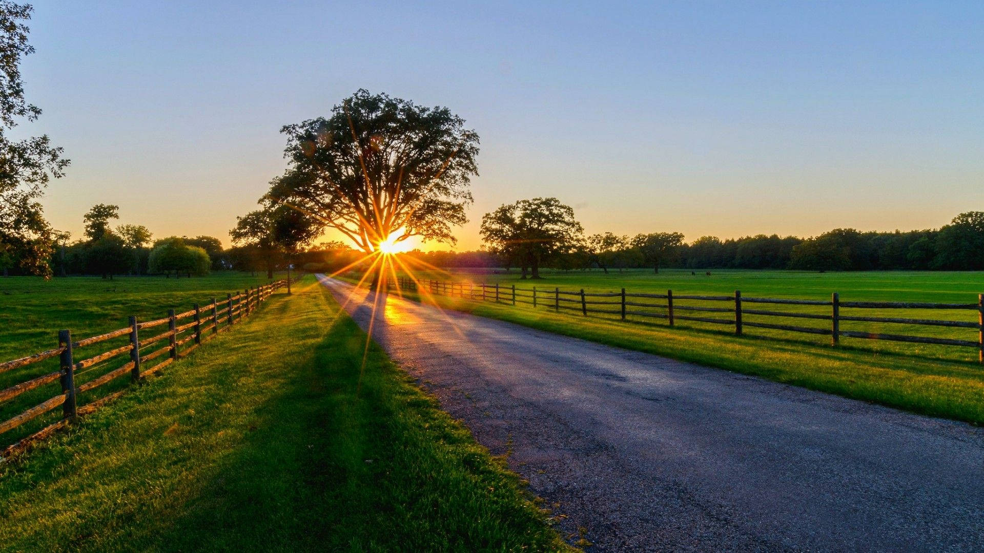 Country Farm Road Sunrise