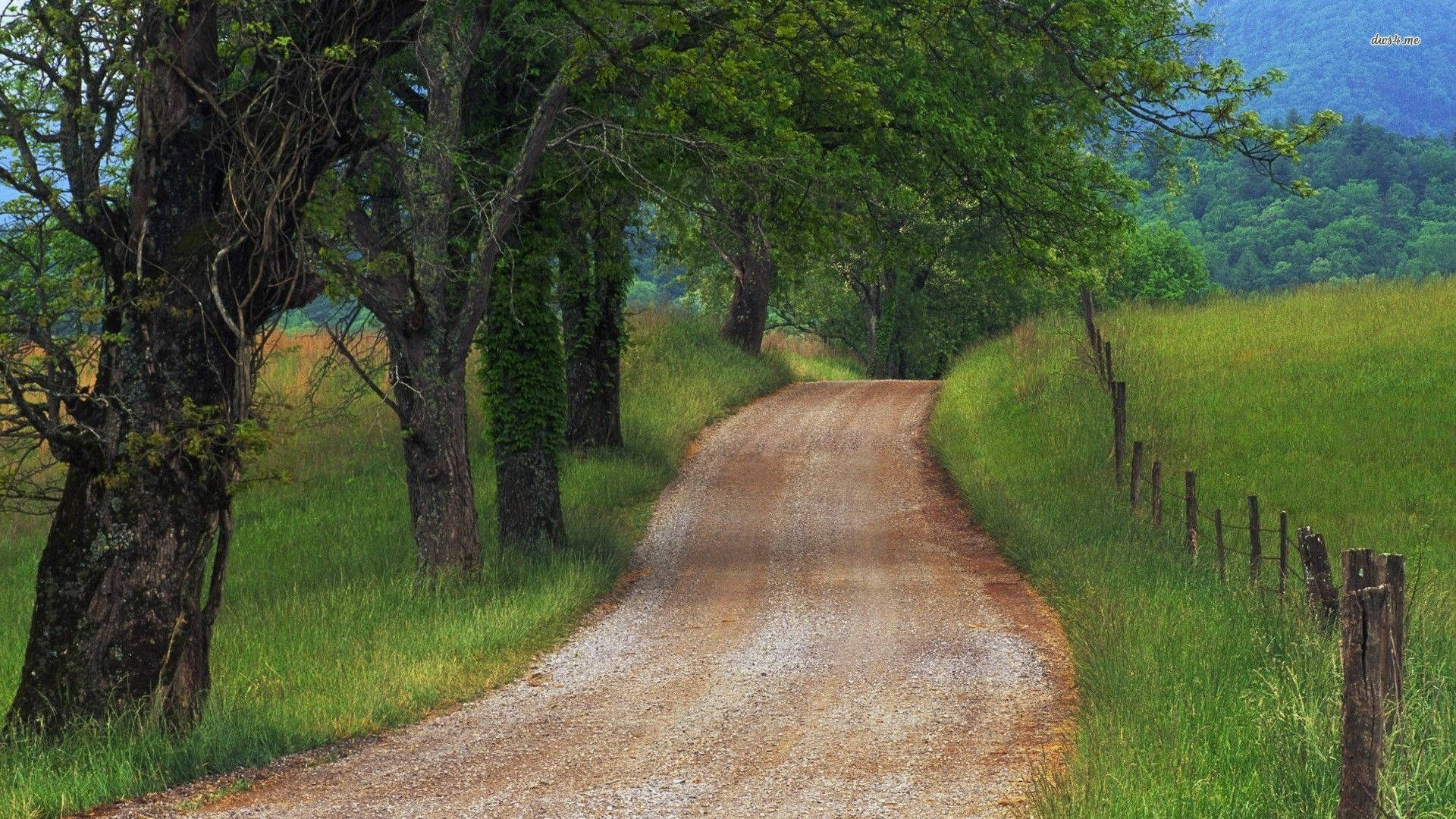 Country Road Bare And Dirt Covered Wallpaper