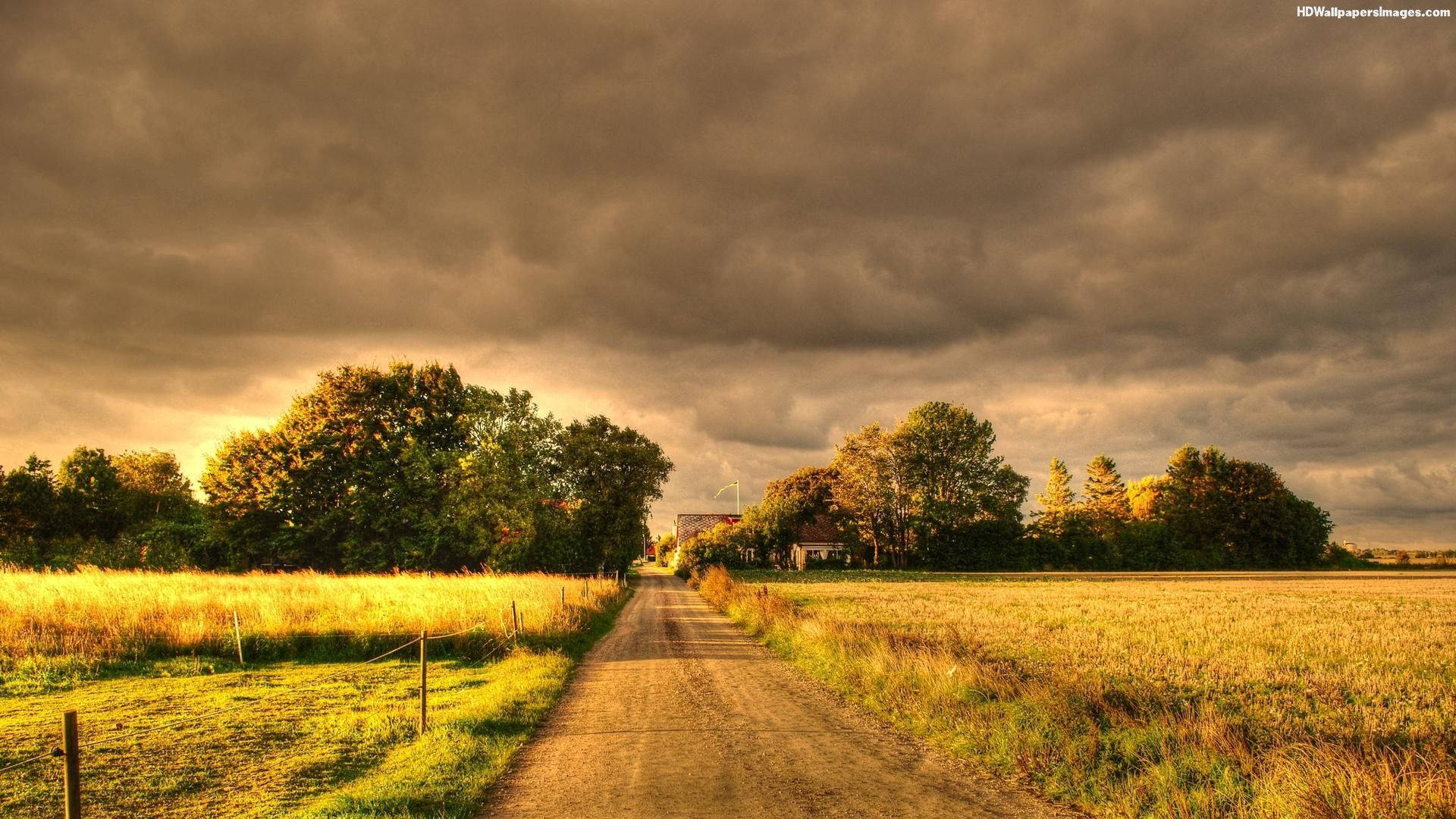 Country Road Landscape Photograph Wallpaper