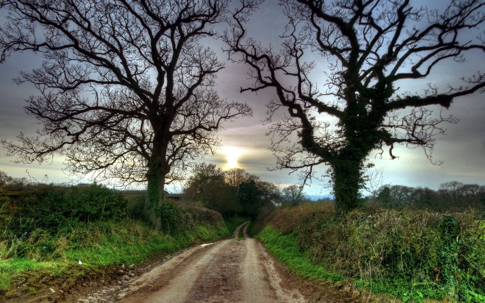 Calming sunset stroll down a Country road. Wallpaper