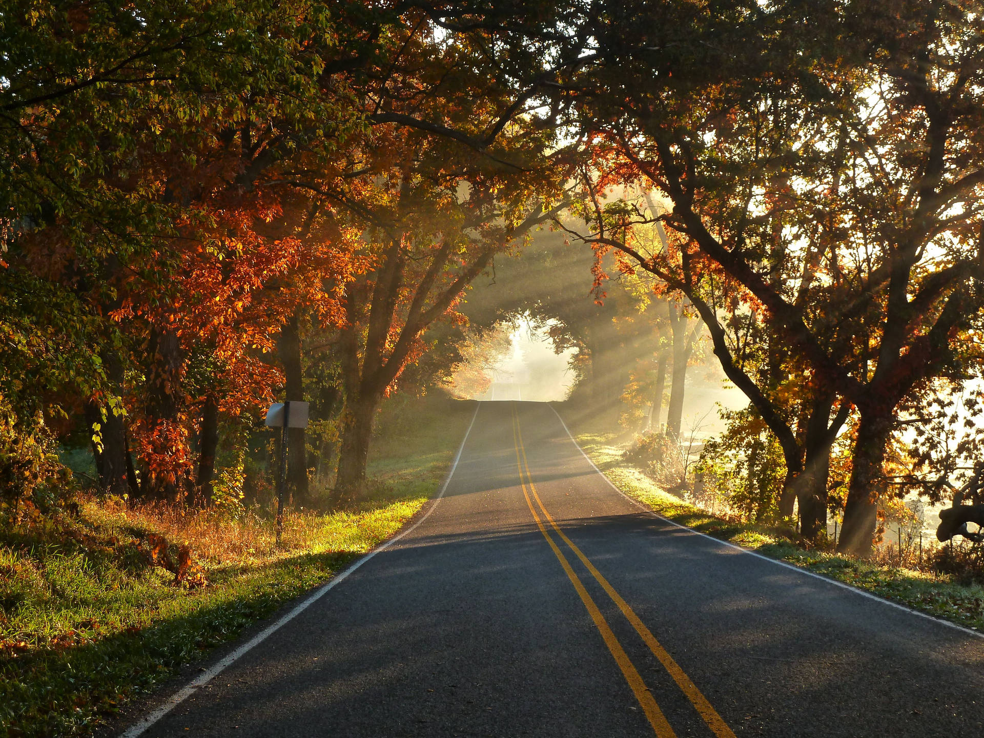 Country Road Piercing Sun Rays Wallpaper