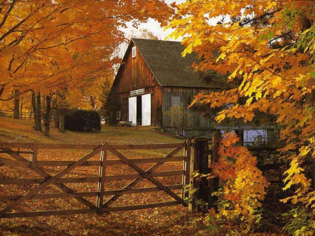 Fall Season Barn Country Scenes Wallpaper