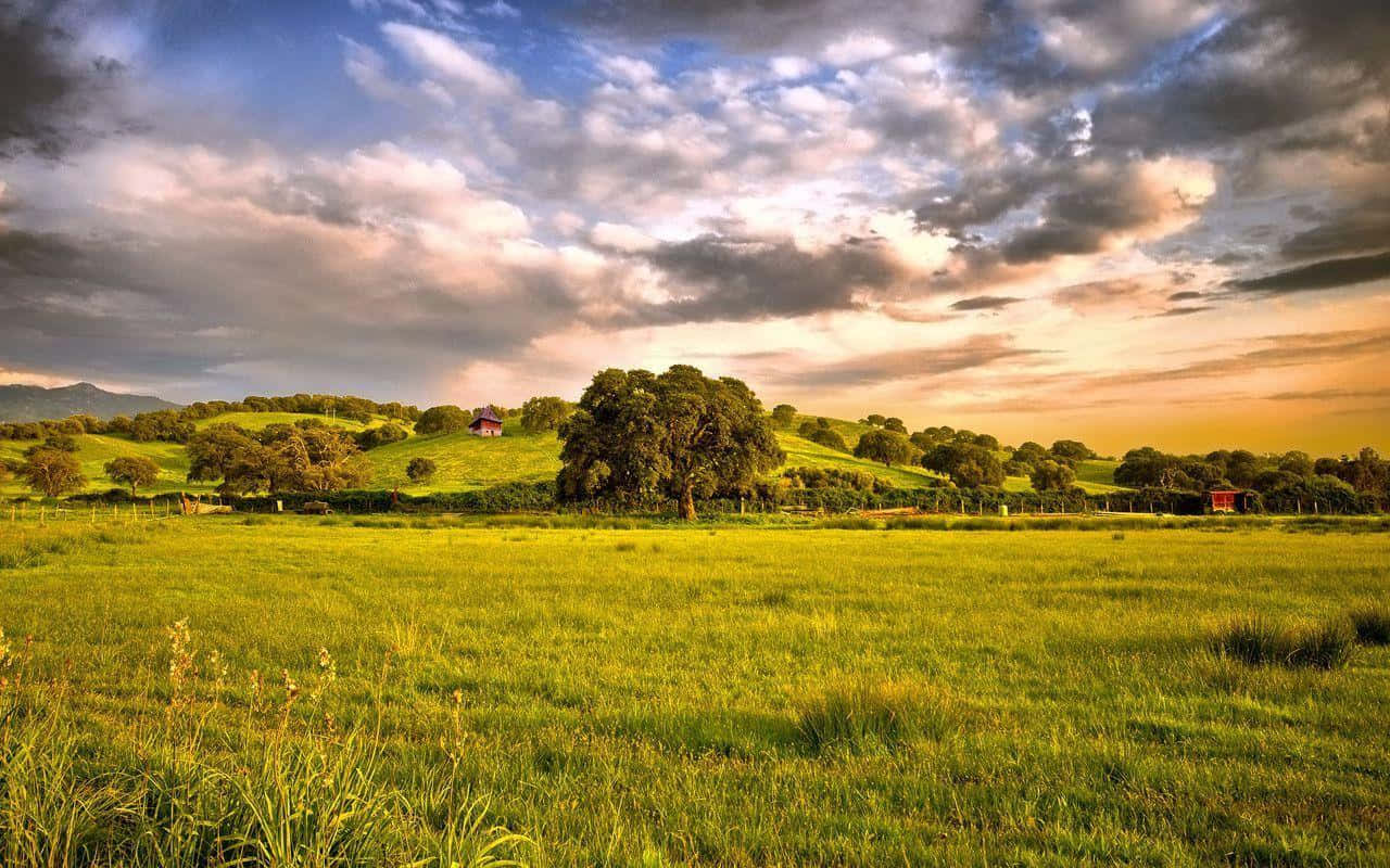 Wide Grass Field Country Scenes Wallpaper