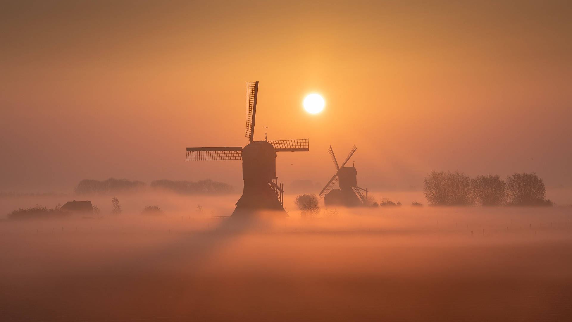 Country Side Windmills In Netherlands