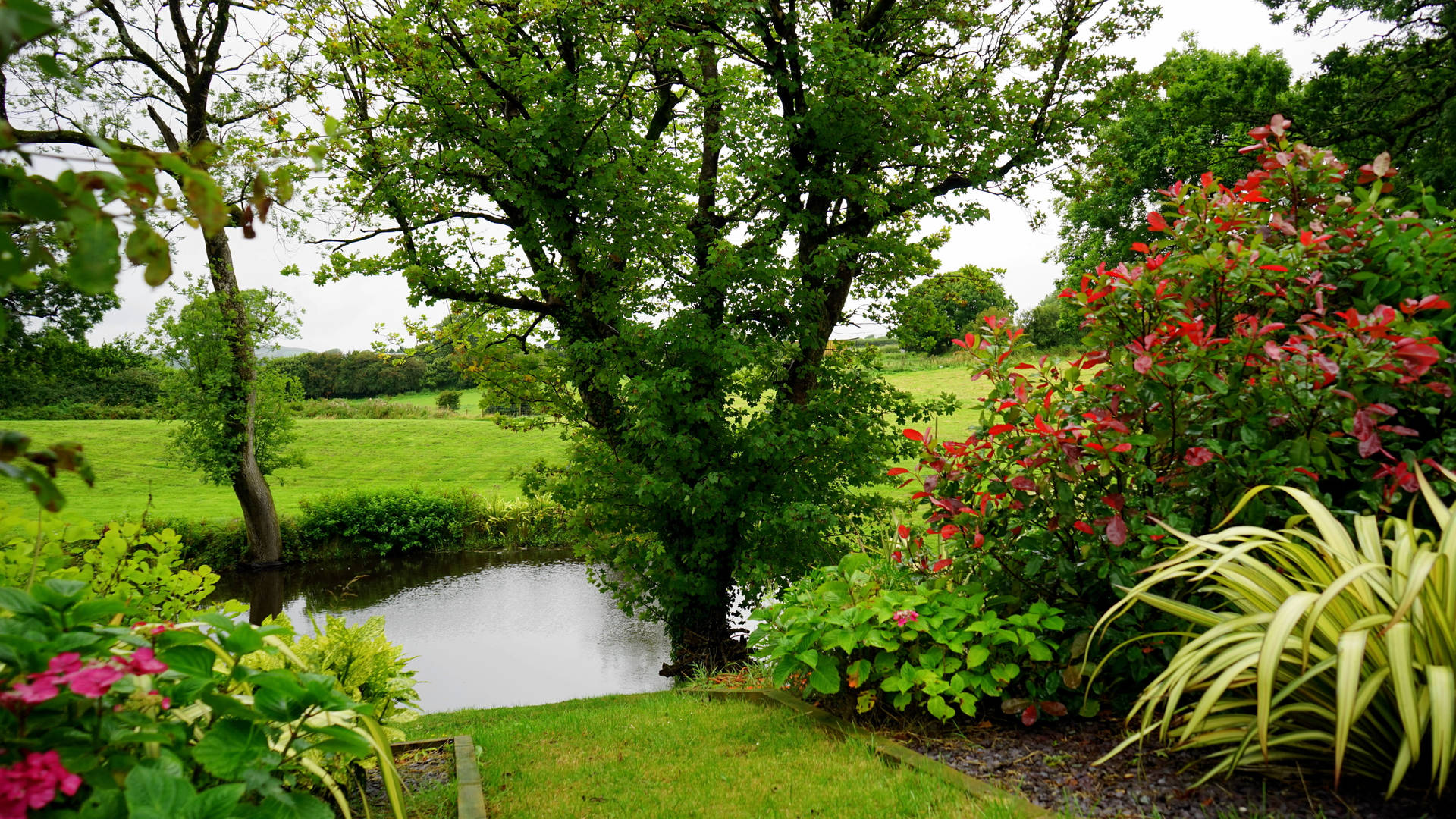 Country Summer Garden Pond Wallpaper
