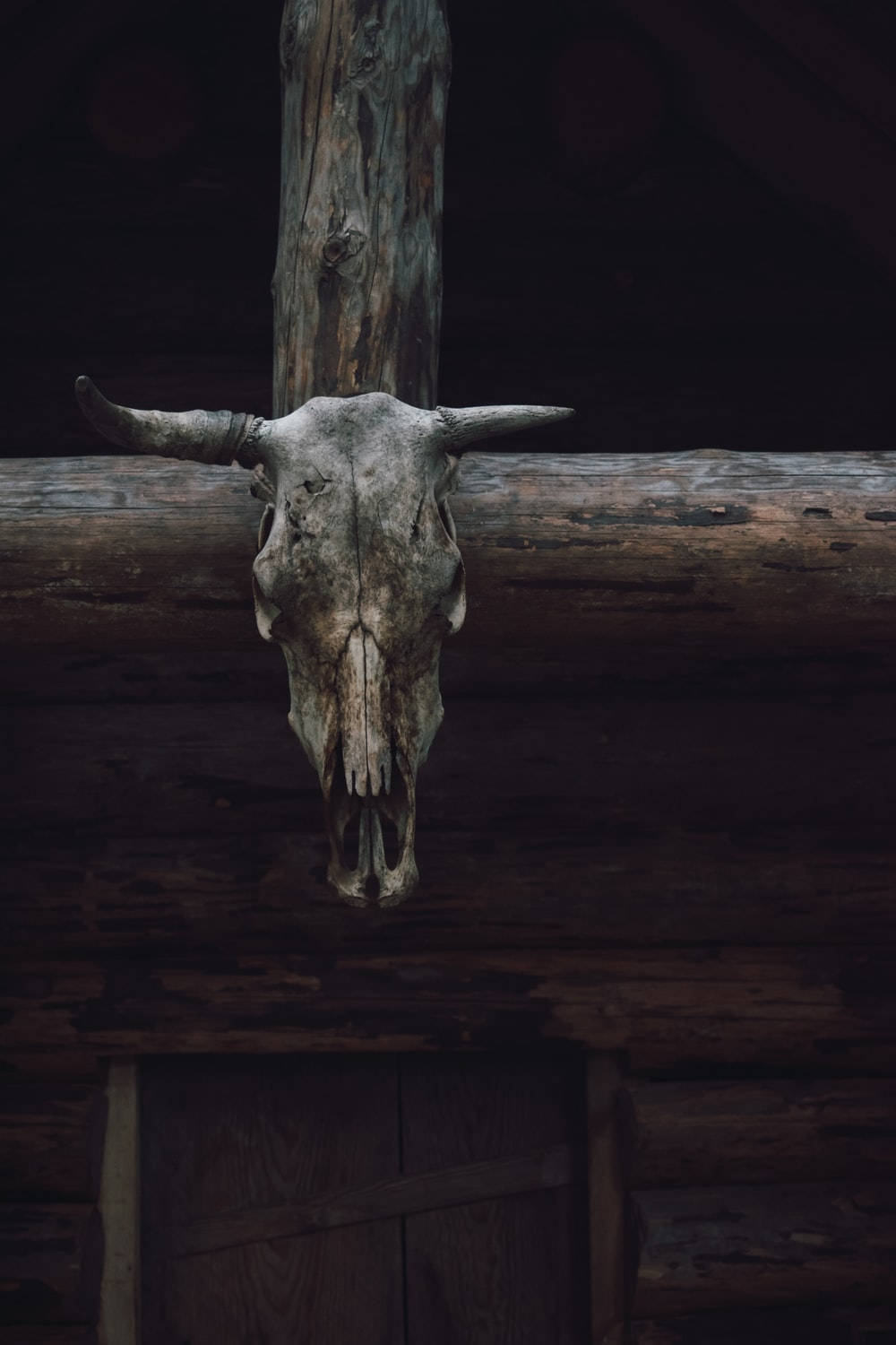 Country Western Goat Head Wallpaper