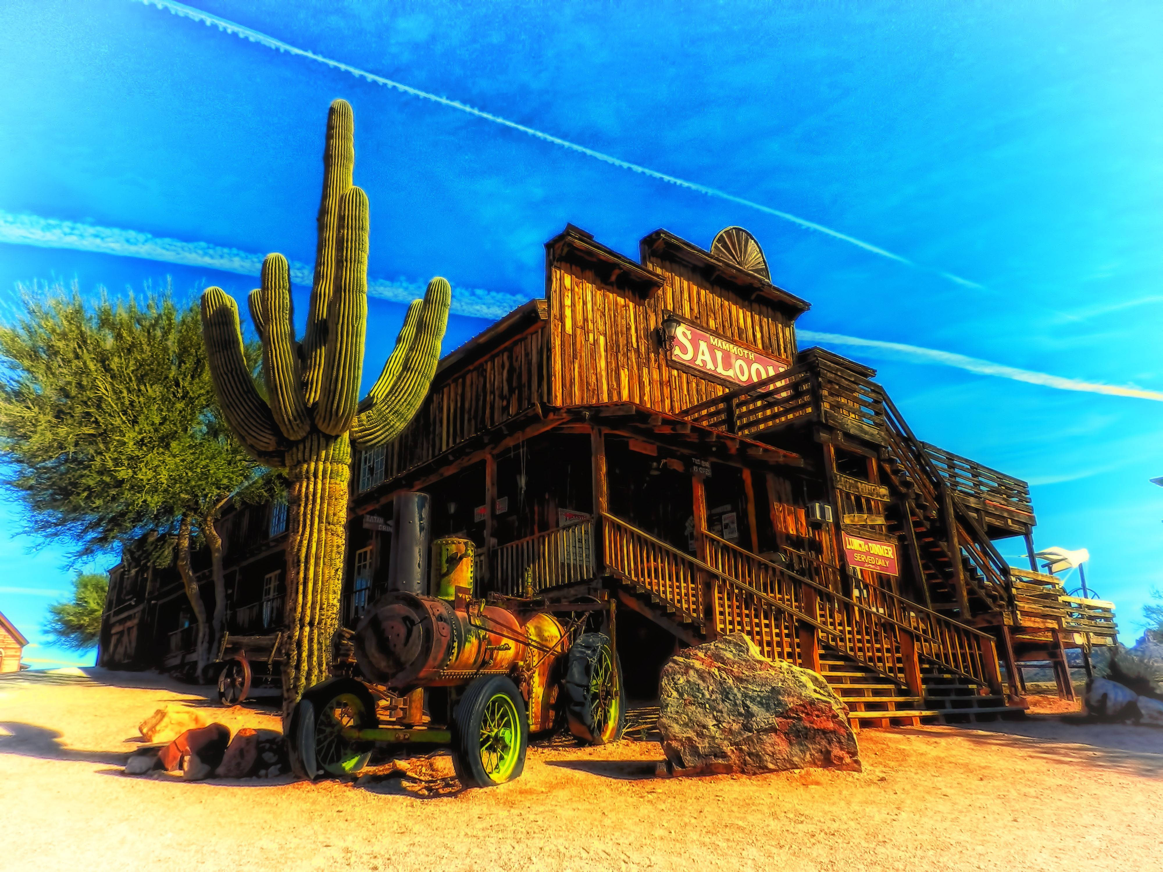 Country Western Saloon Cactus Wallpaper