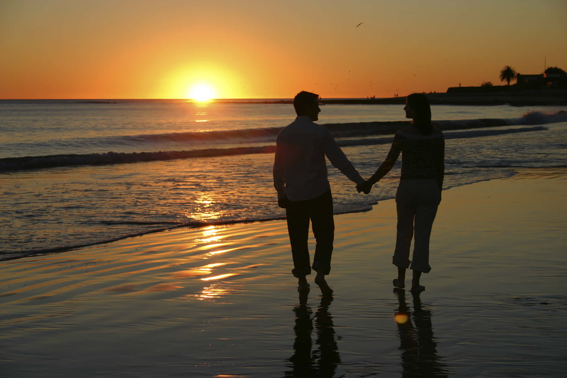 Couple At Beach Silhouette Holding Hands At Sunset Picture