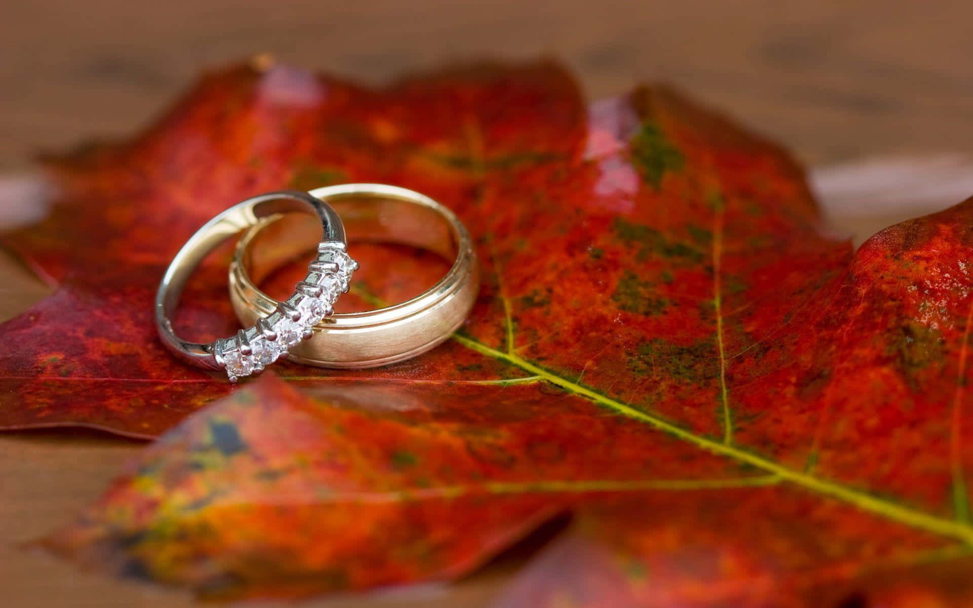 Couple Engagement Rings Fall Leaf Wallpaper