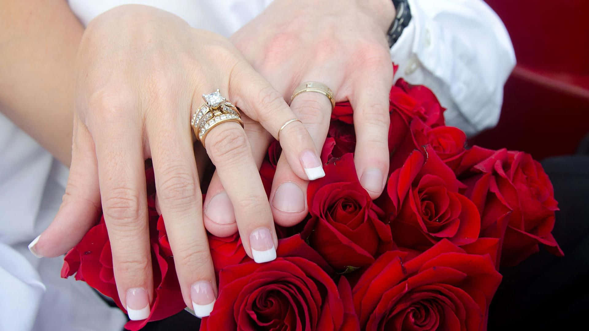 Download Couple Engagement Rings Red Rose Wallpaper 
