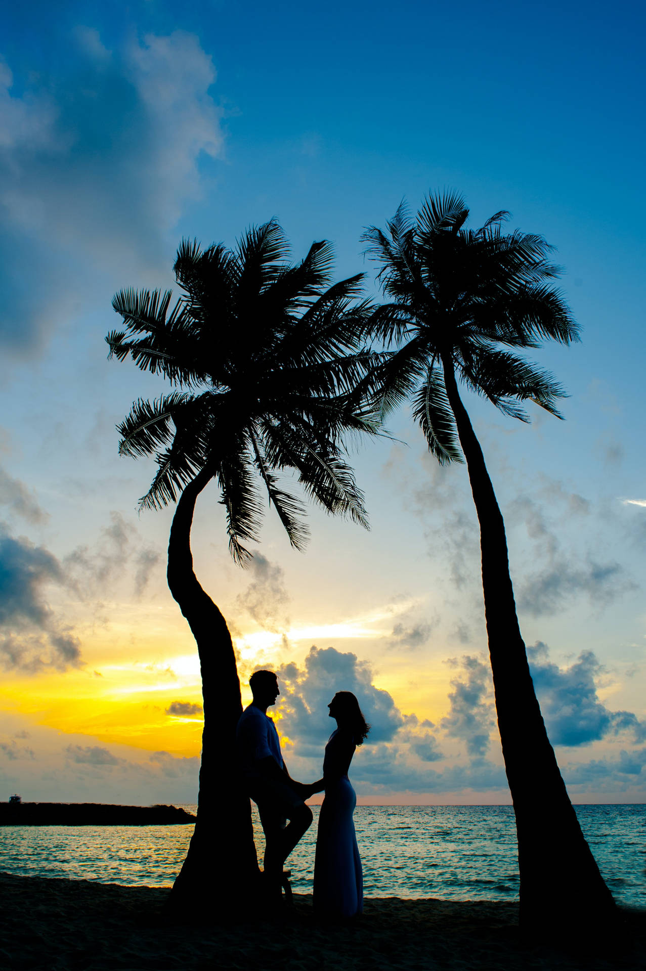 Couple In Love Near Coconut Trees Wallpaper