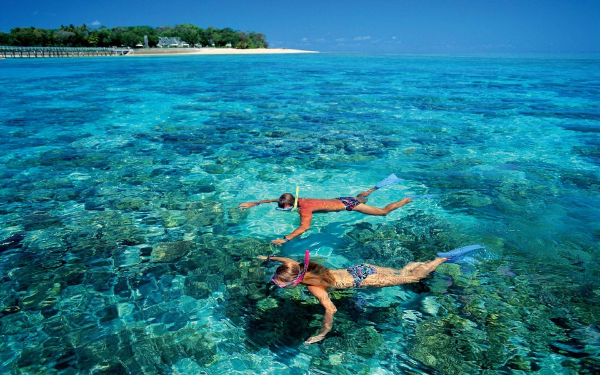 Couple Snorkeling Together During Daytime Wallpaper