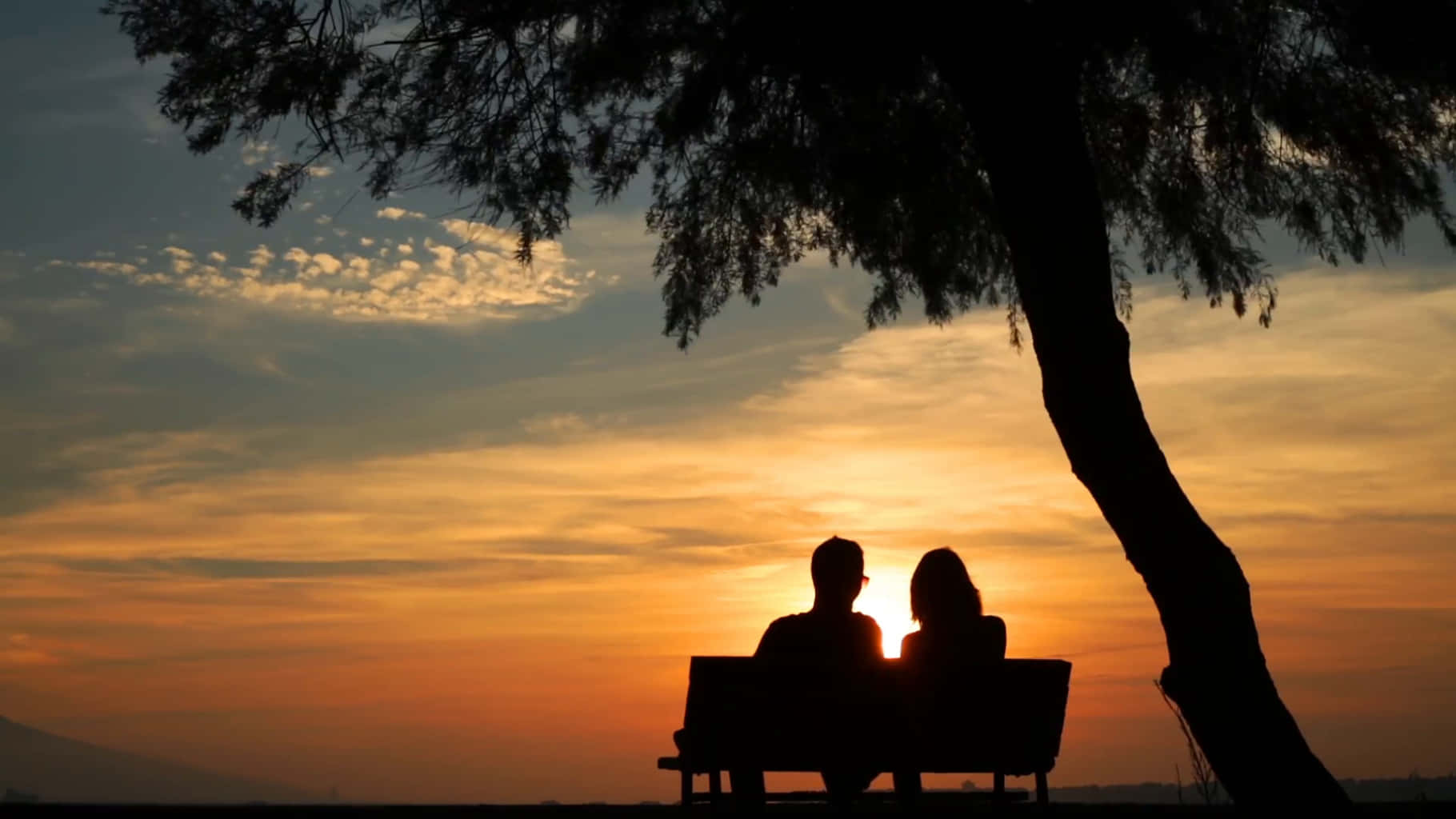 Par siddende på bænk, billedtapet af solnedgang under et træ