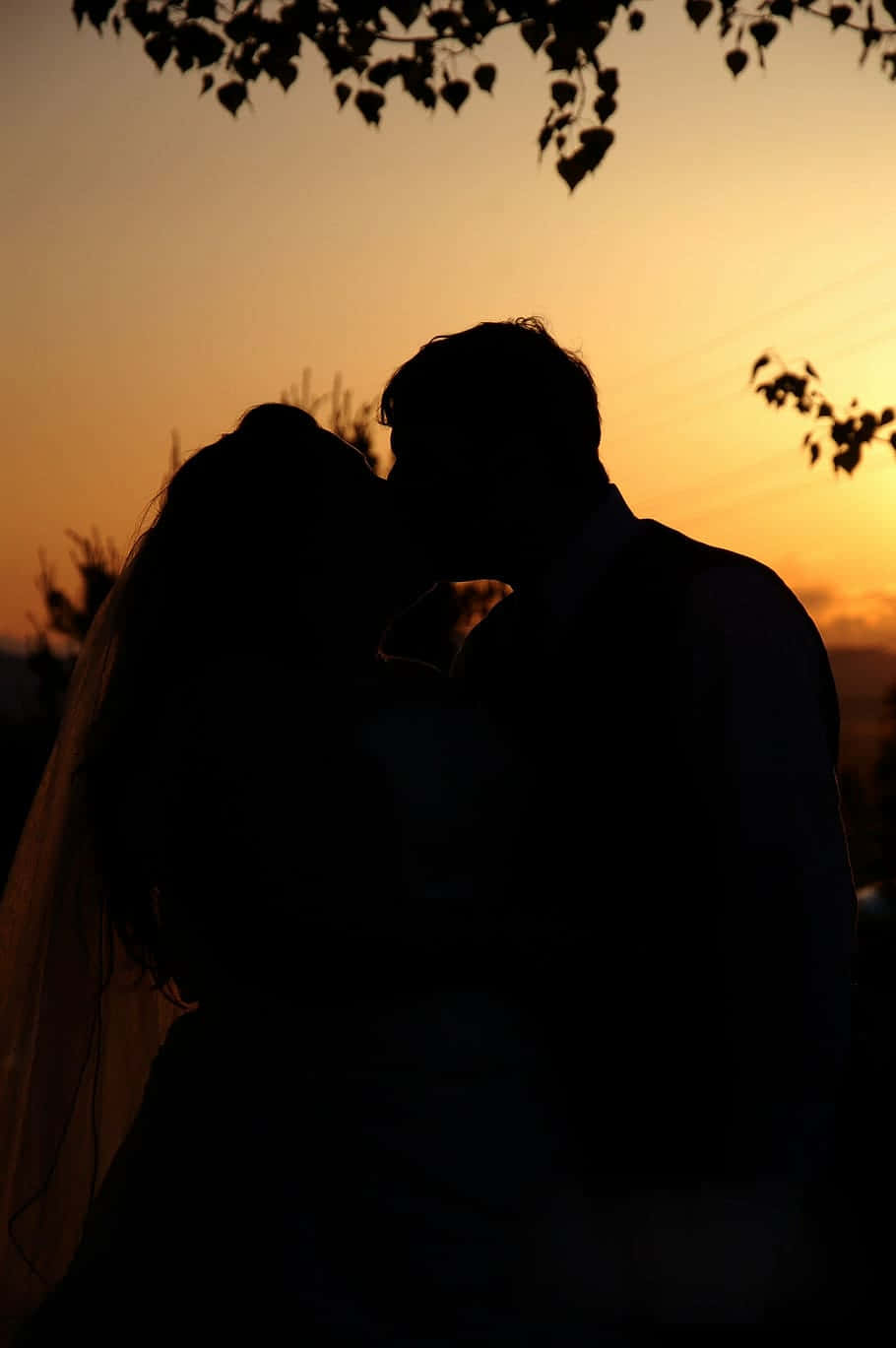 Couple Sunset Kissing Under Leaves Picture