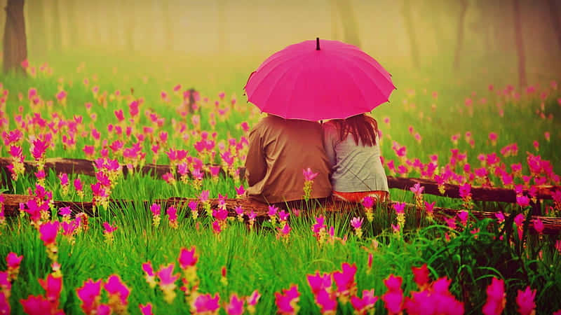 Couple Under Pink Umbrellain Flower Field Wallpaper