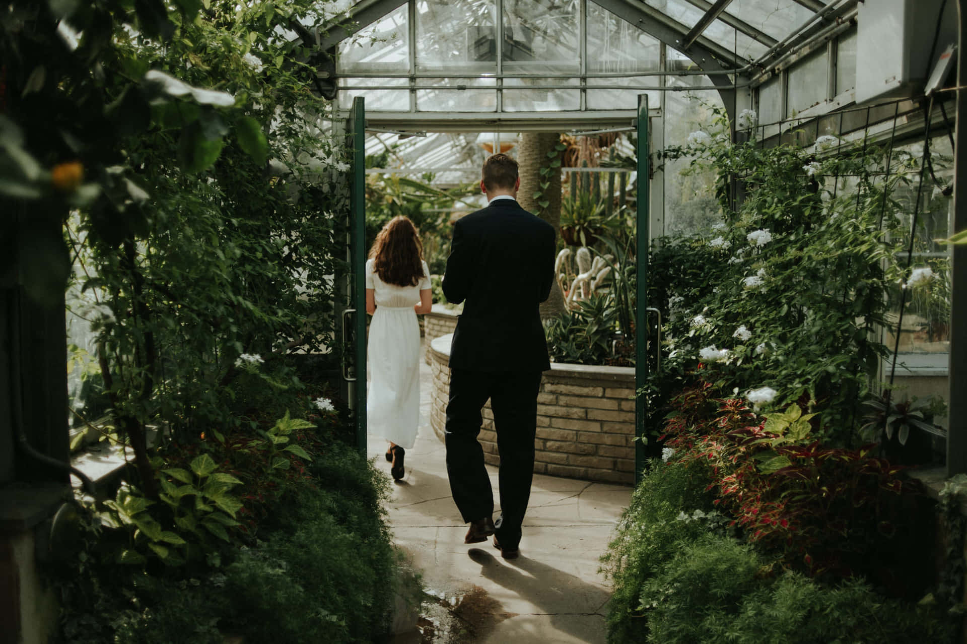 Couple Walkingin Allan Gardens Conservatory Wallpaper